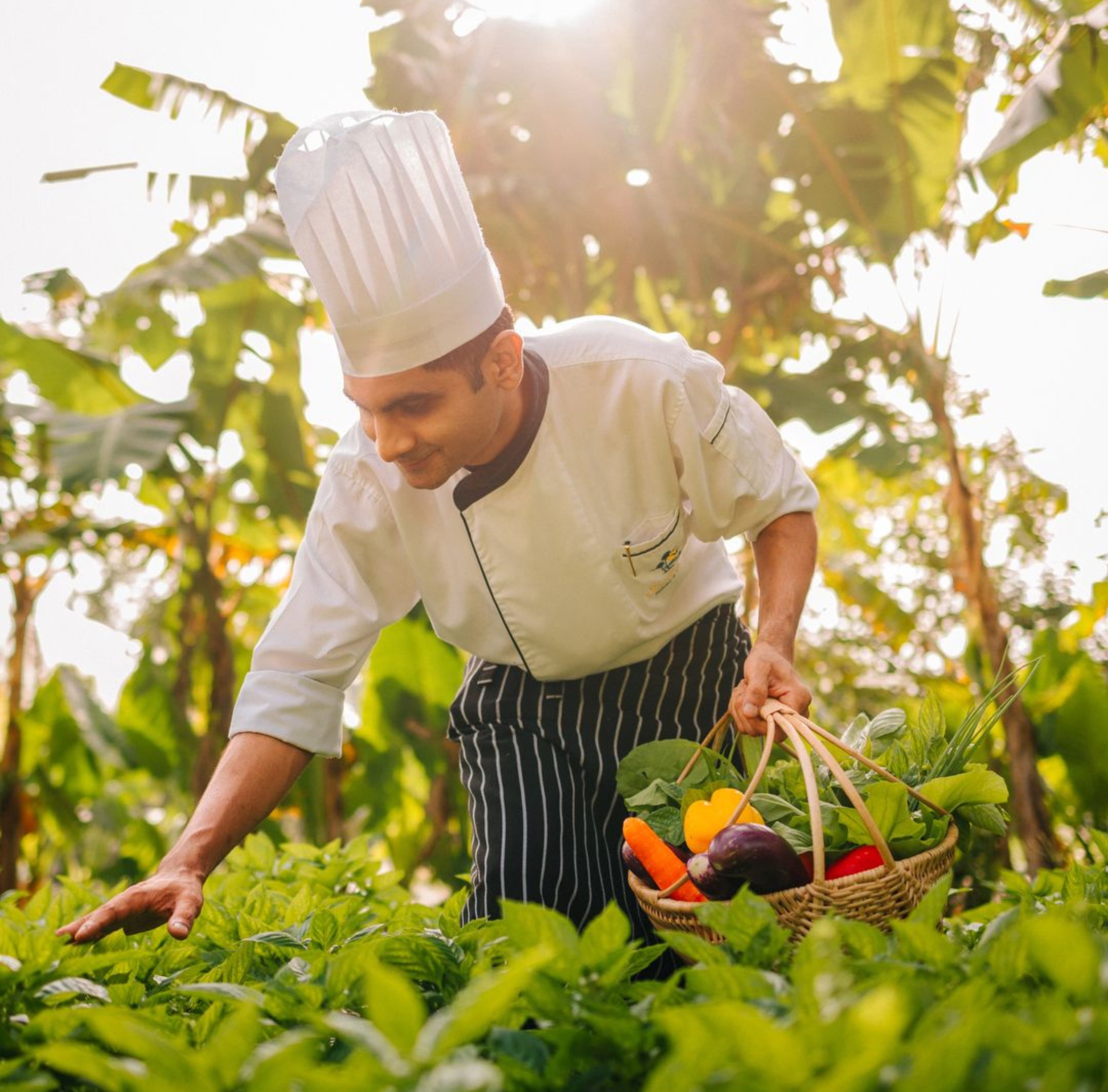 Commitment to Sustainability